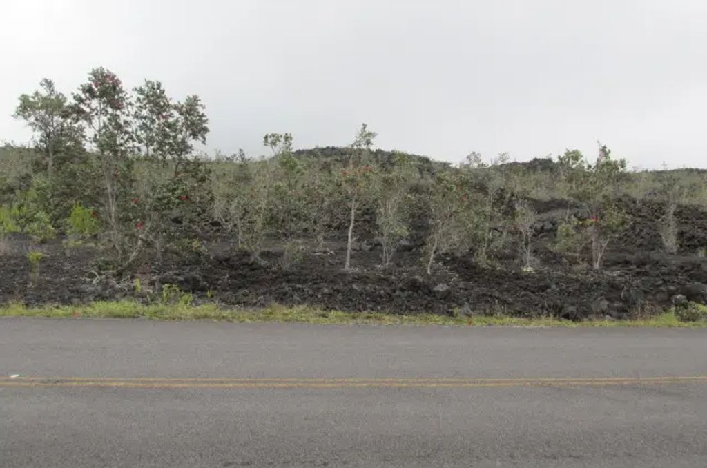 King Kamehameha Blvd, Ocean View