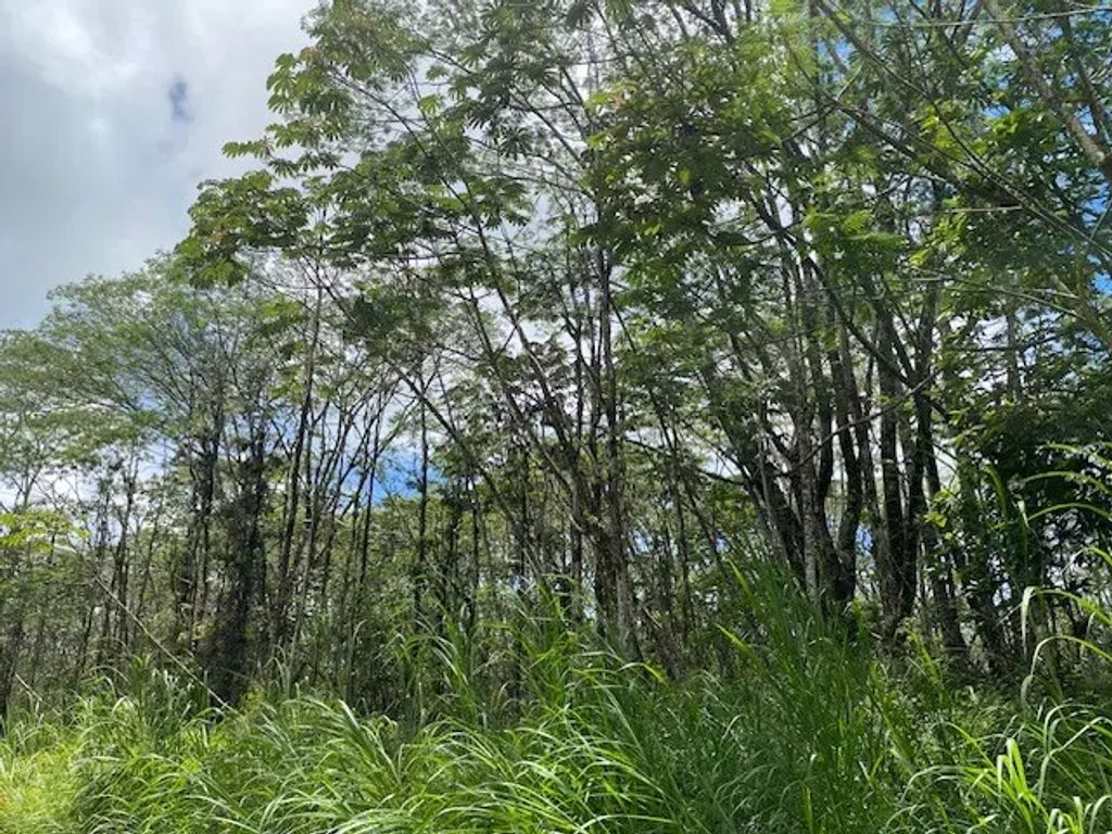 14-3525 Pikake Rd, Pahoa