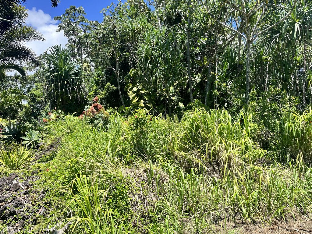 Oopu St, Pahoa