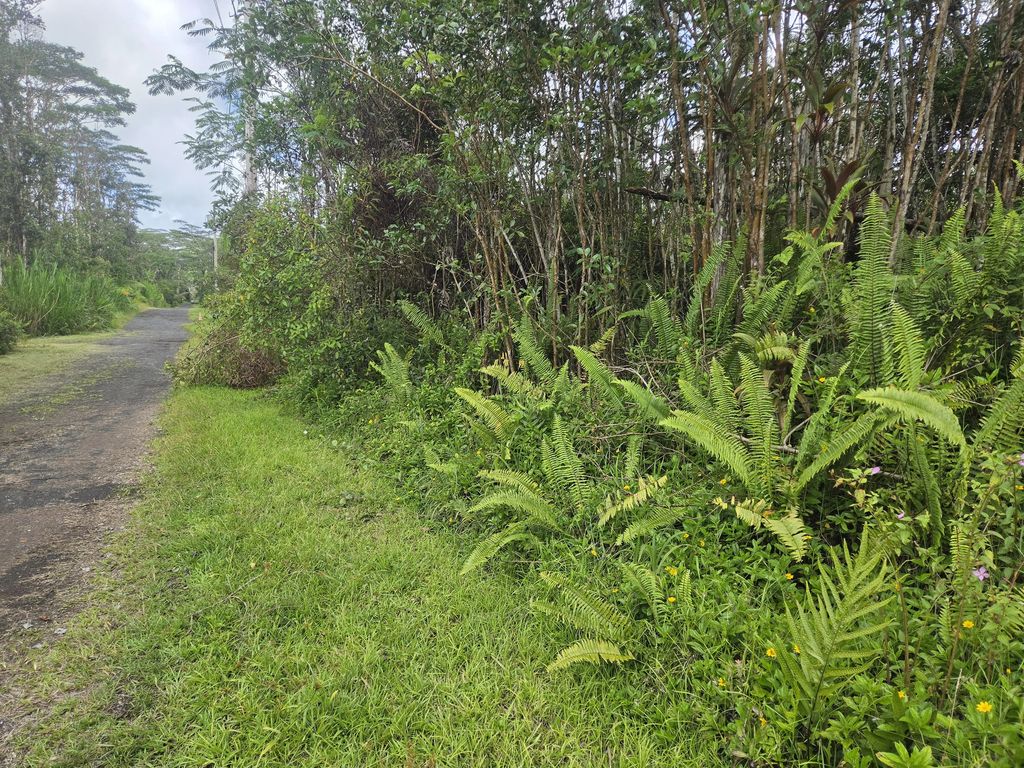14-3362 Paradise Rd, Pahoa