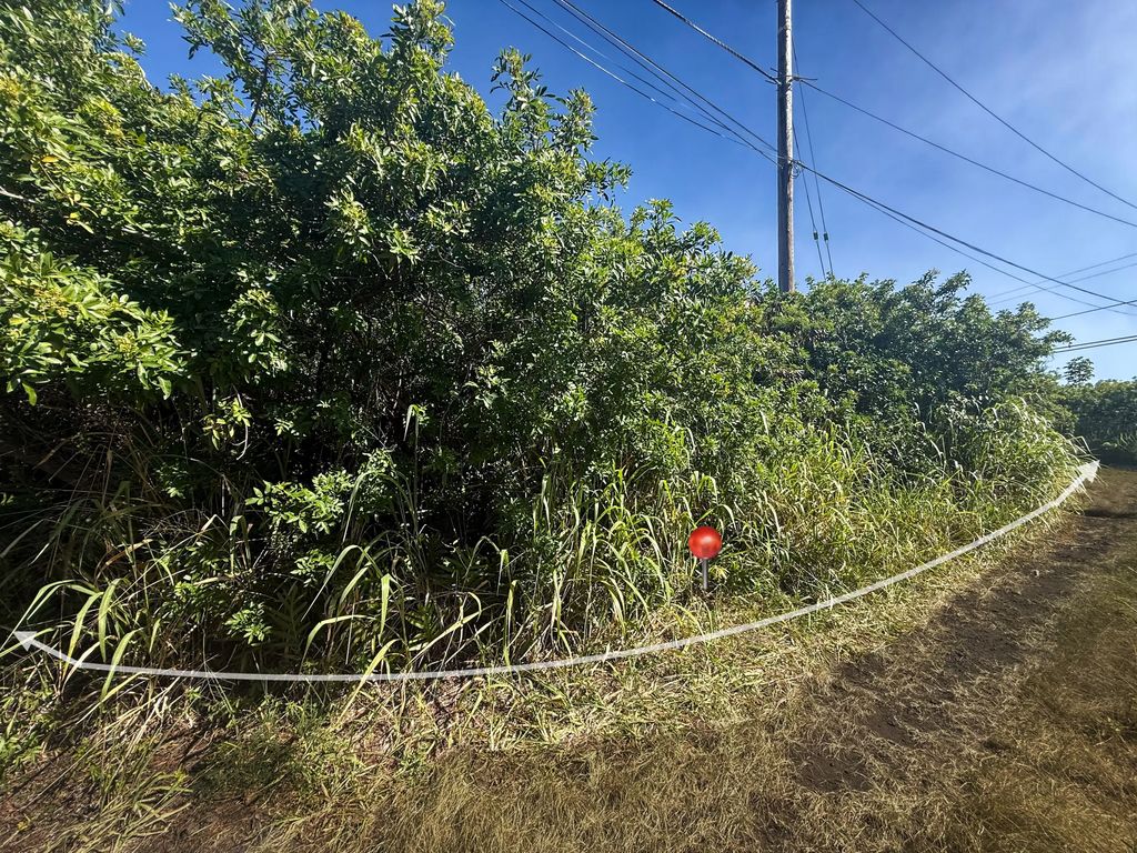 94-6500 Kai Kane St, Naalehu