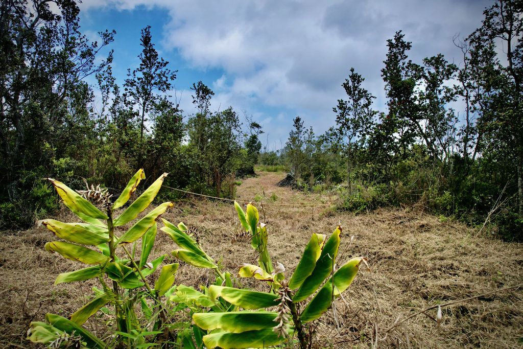 Paradise Pkwy, Ocean View