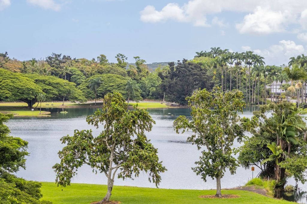 101 Hilo Lagoon Centre 510, Hilo