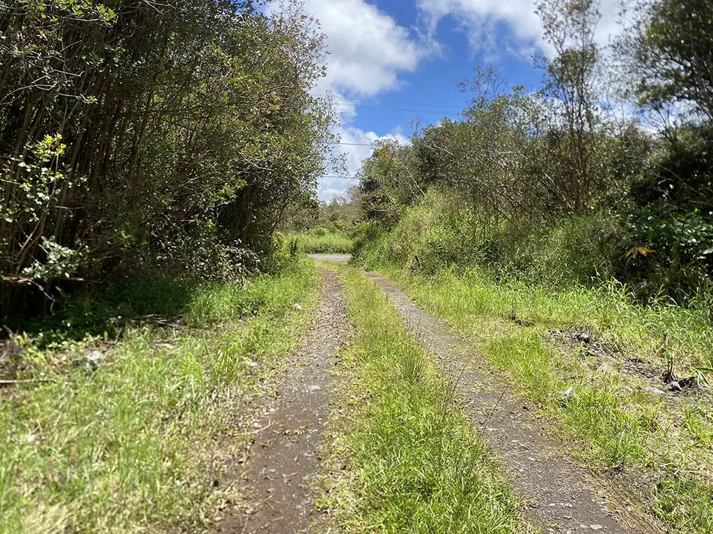 Road 10, Mountain View