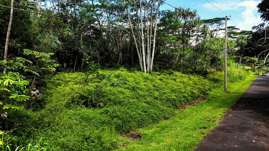 S Ohiki St, Pahoa