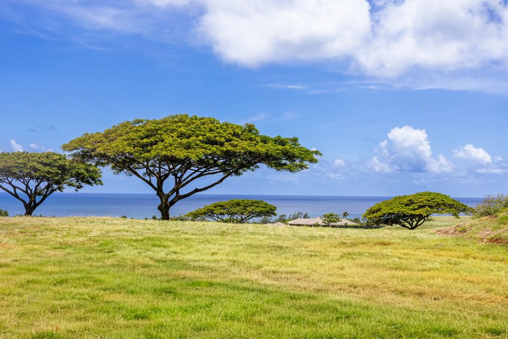 Hiki Moe Pl, Koloa