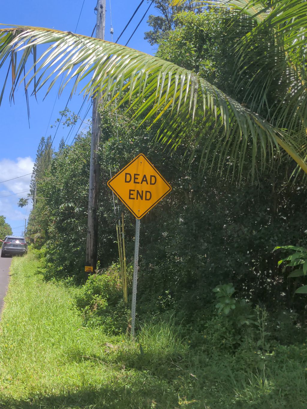 Kaku St, Pahoa