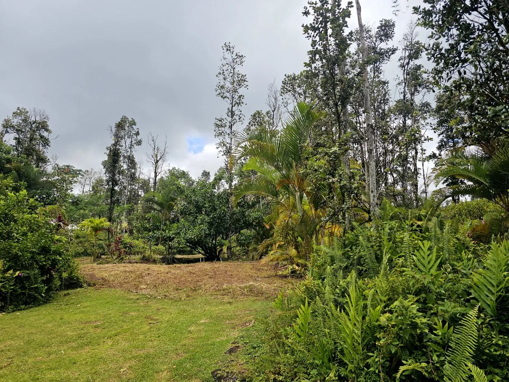 Kona Rd, Pahoa