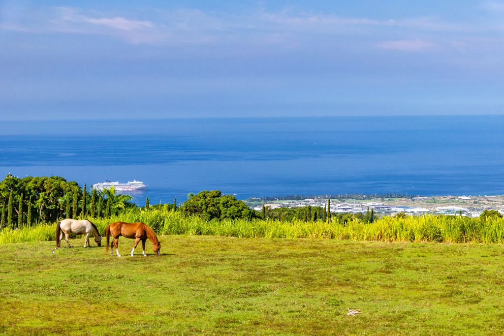 74-4990 Mamalahoa Highway, Holualoa