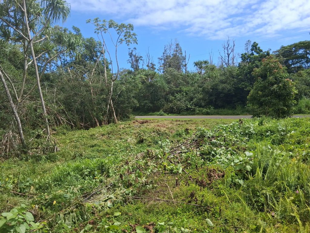 Moana St, Pahoa