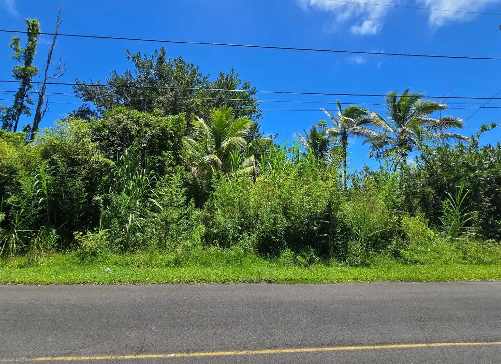 Silversword Dr, Pahoa