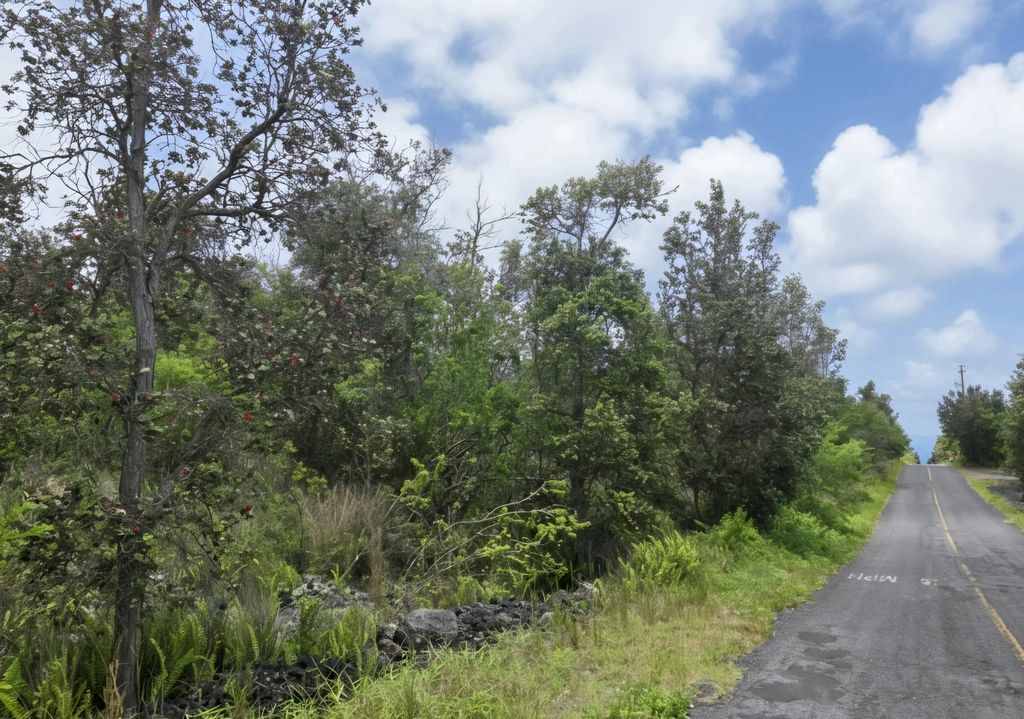 Orchid Pkwy, Ocean View