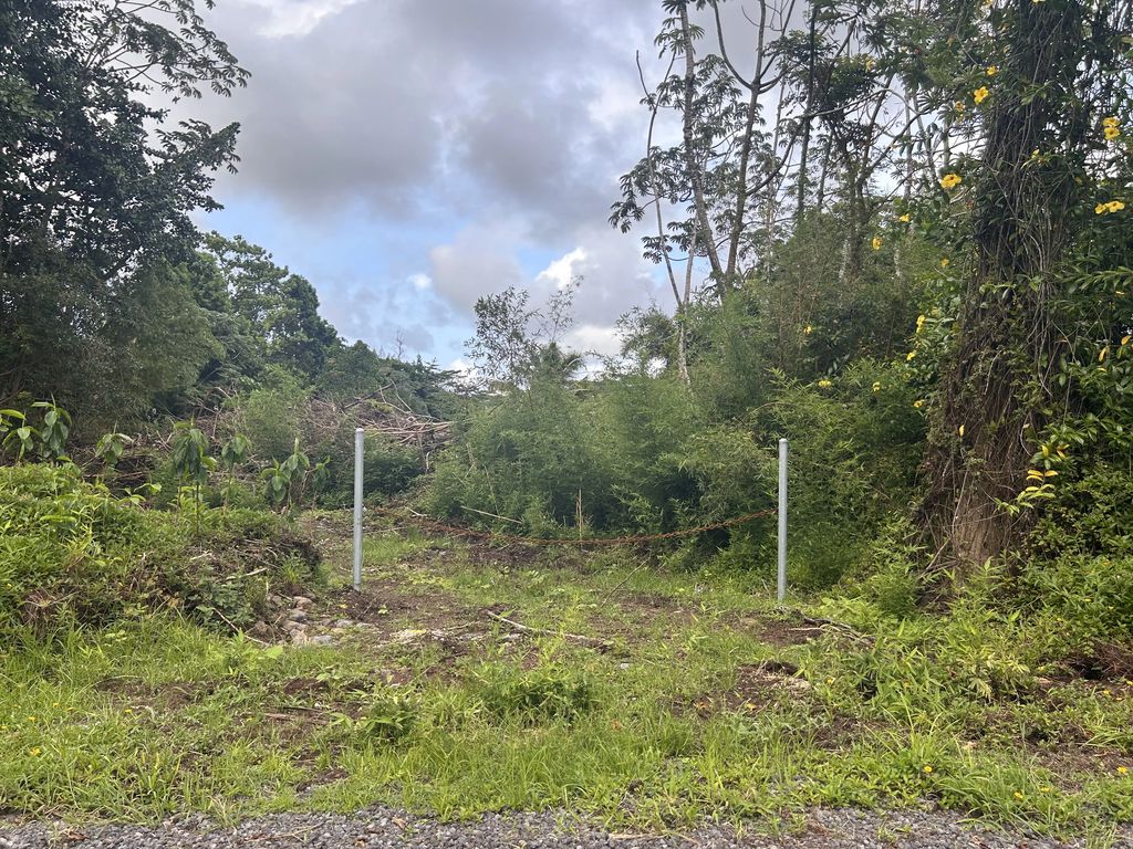 Railrd Rd, Keaau