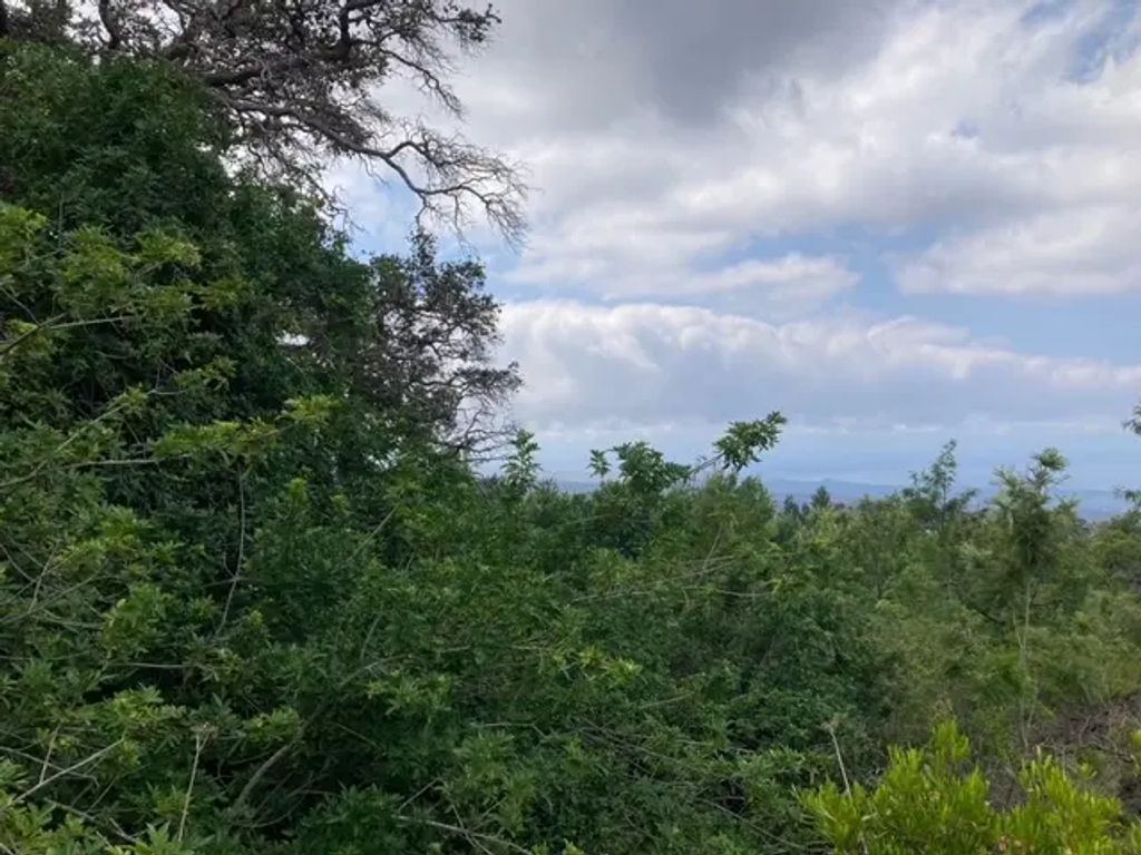 Keaka Pkwy, Ocean View