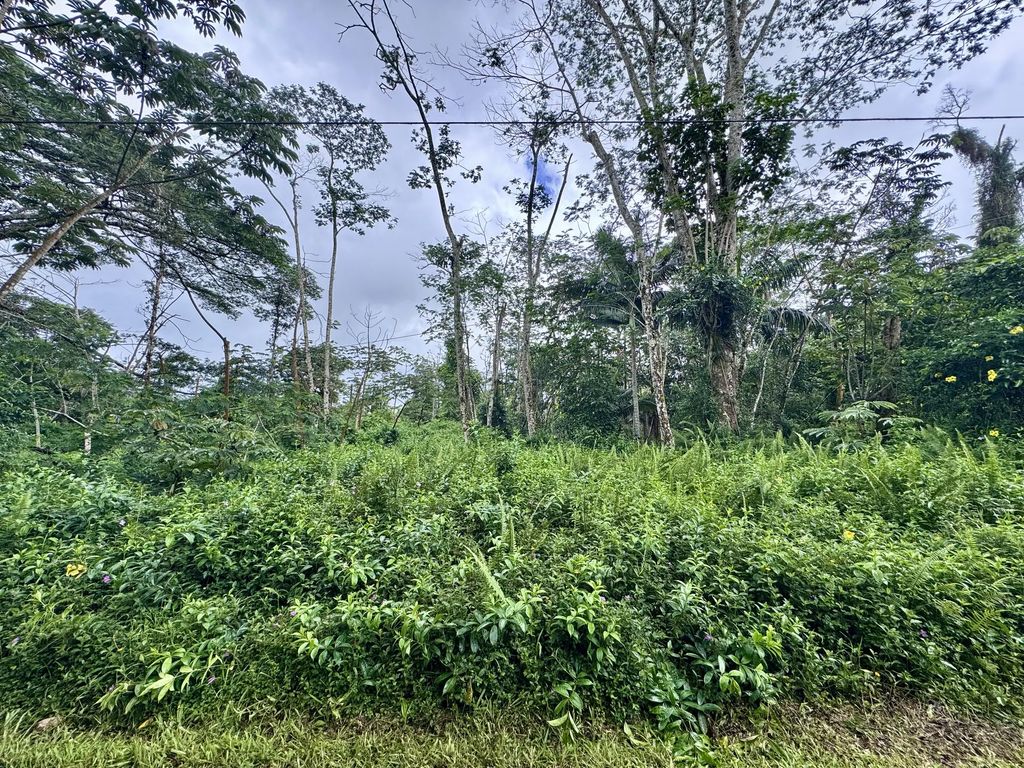 Shell Rd, Pahoa