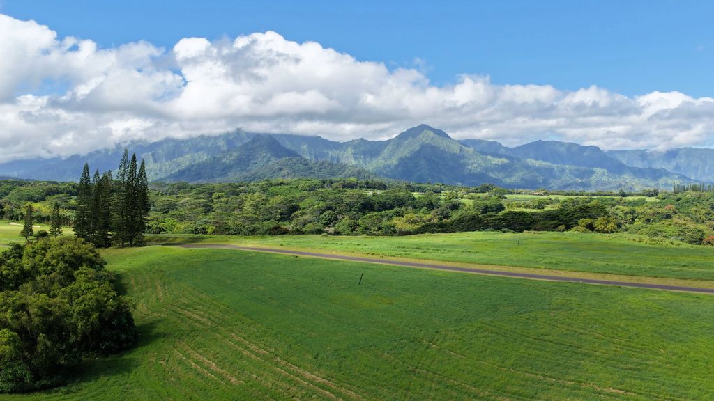 4143 Hihimanu Rd 20, Kilauea