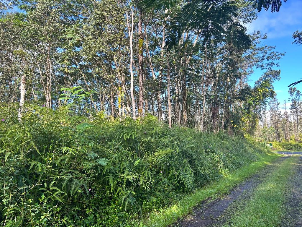Pahoa Rd, Pahoa