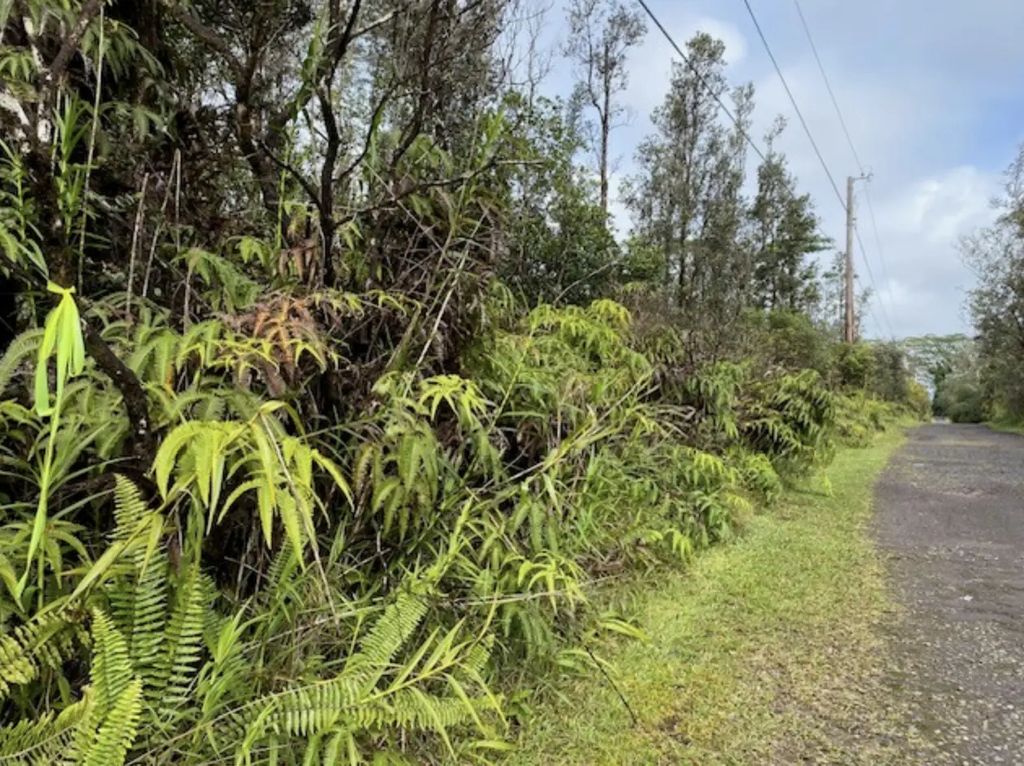 16-1564 Pulelehua Rd, Kurtistown