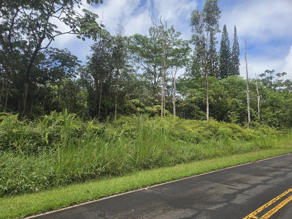 13-3550 Pomaikai St, Pahoa