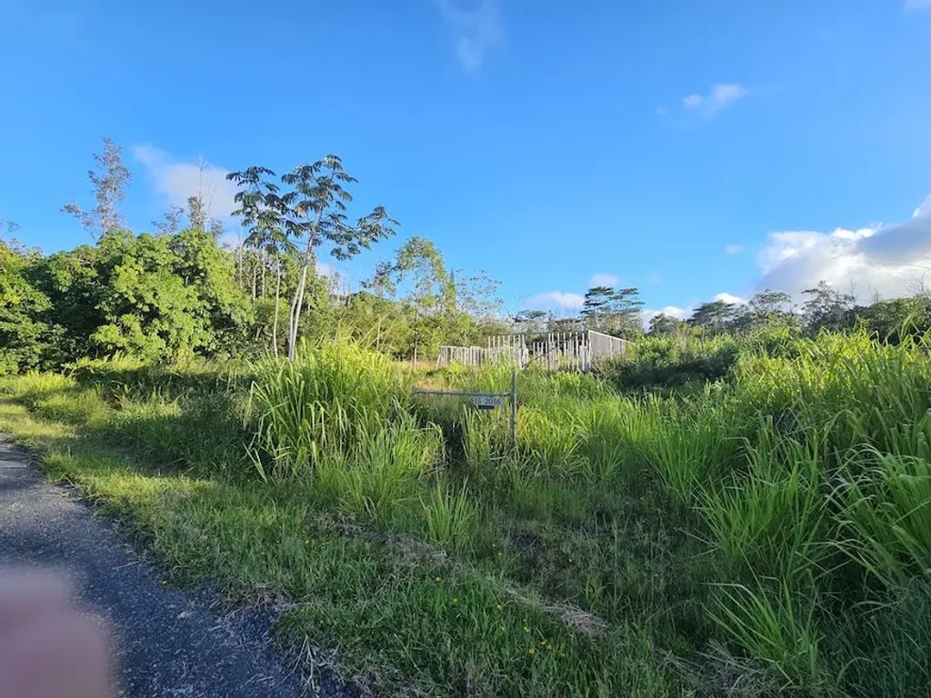 15-2016 14th Ave, Keaau
