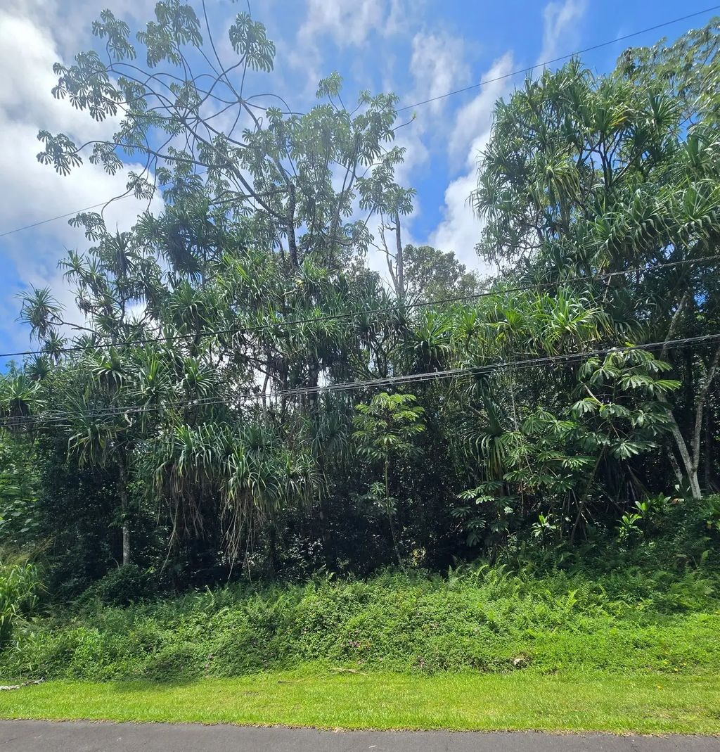 Nenue St, Pahoa