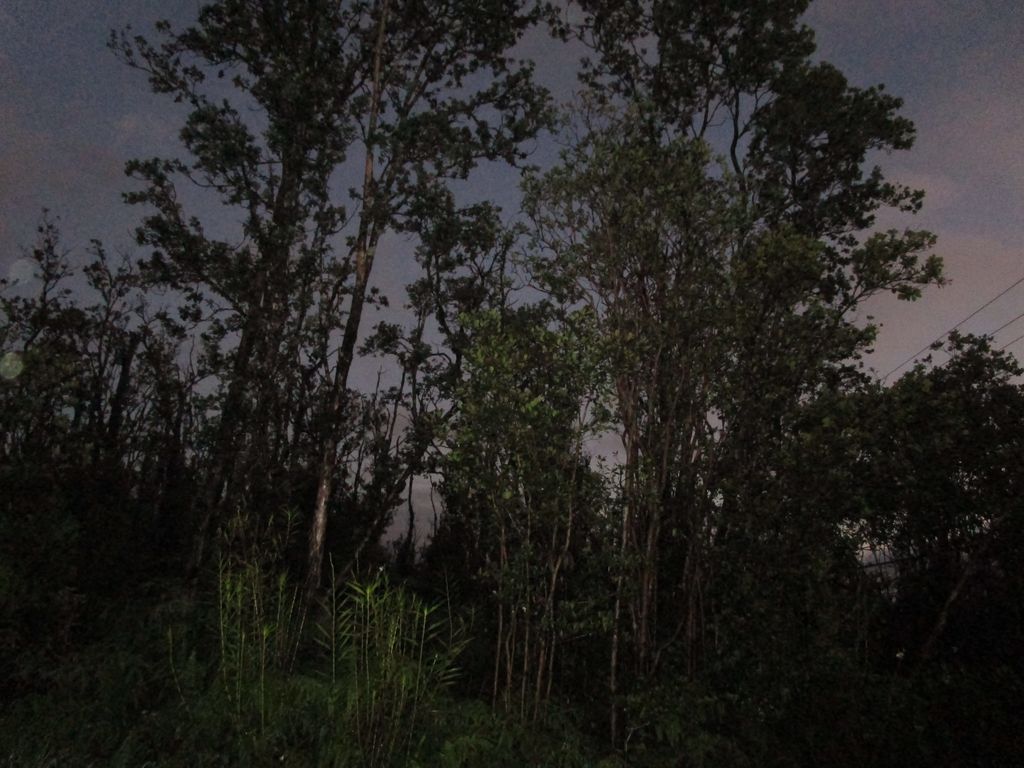 Noe Kuahiwi Rd, Volcano