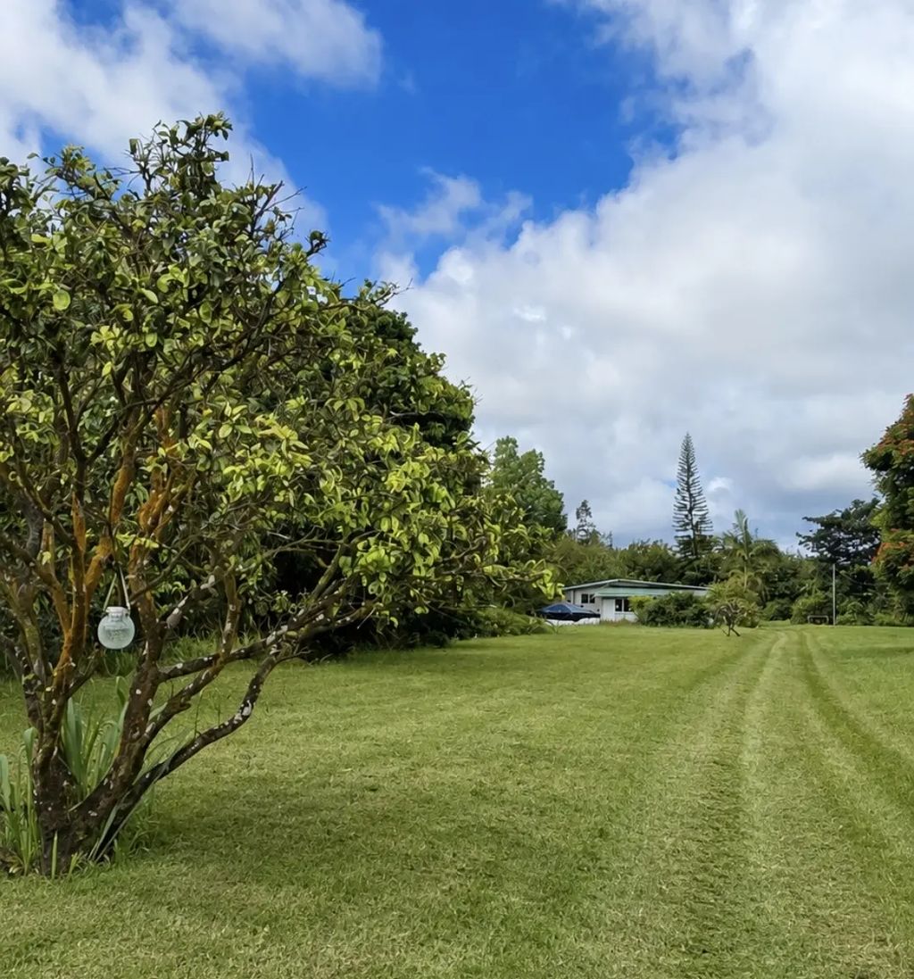 16-1272 Hopue Rd, Mountain View