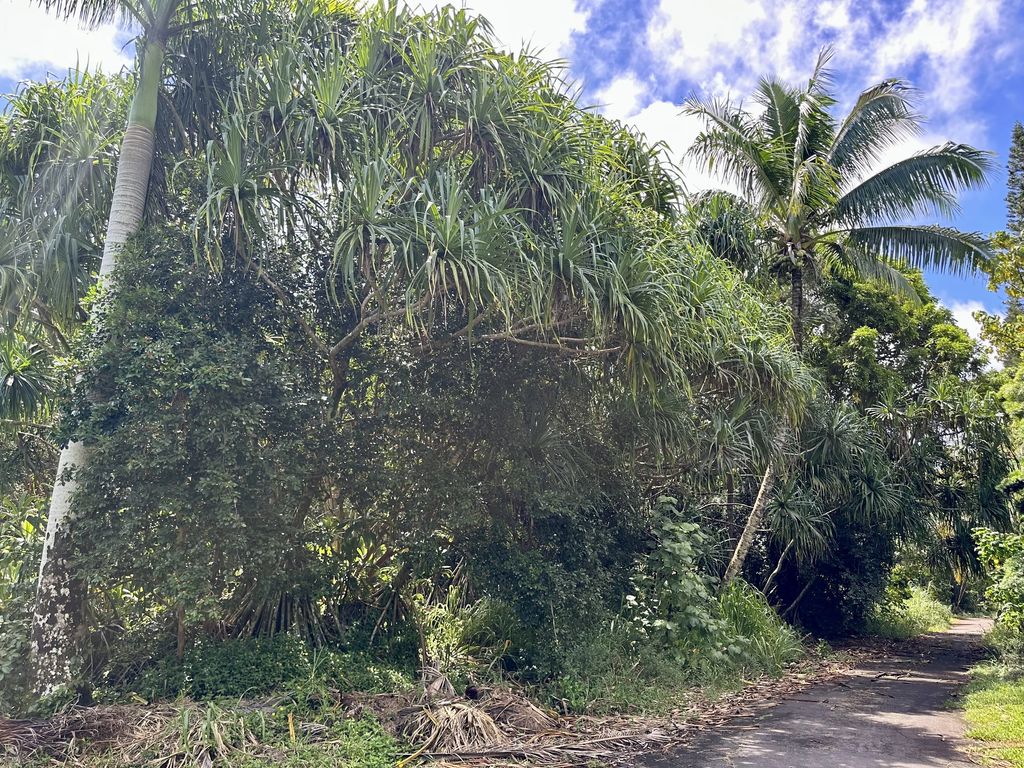 Papaya Farms Rd, Pahoa