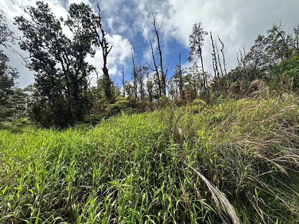 Road 3 (hopue), Mountain View