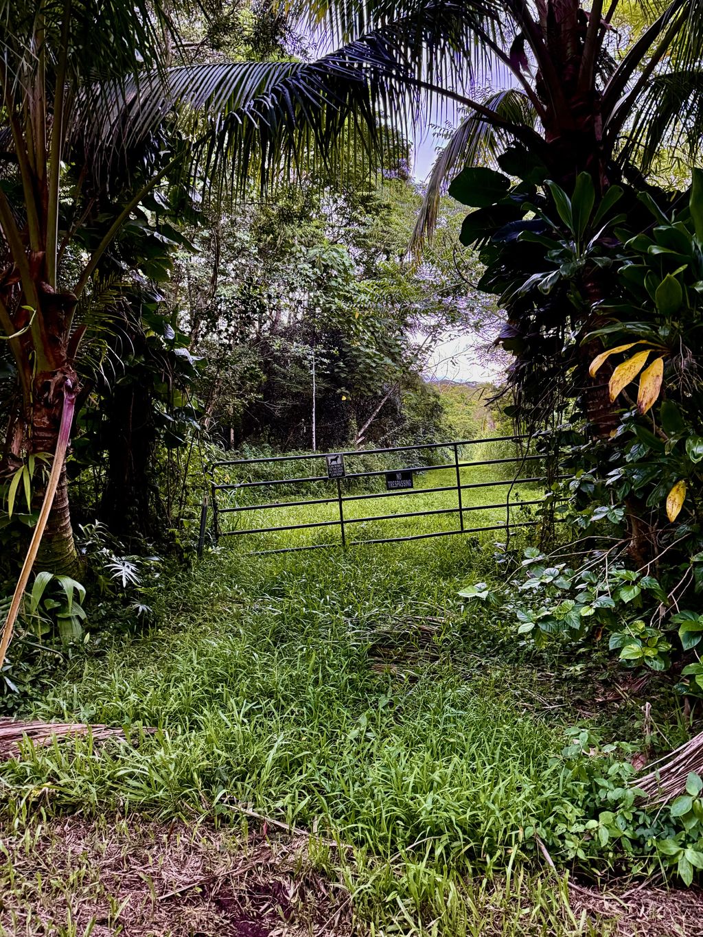 13-790 Kamaili Rd, Pahoa