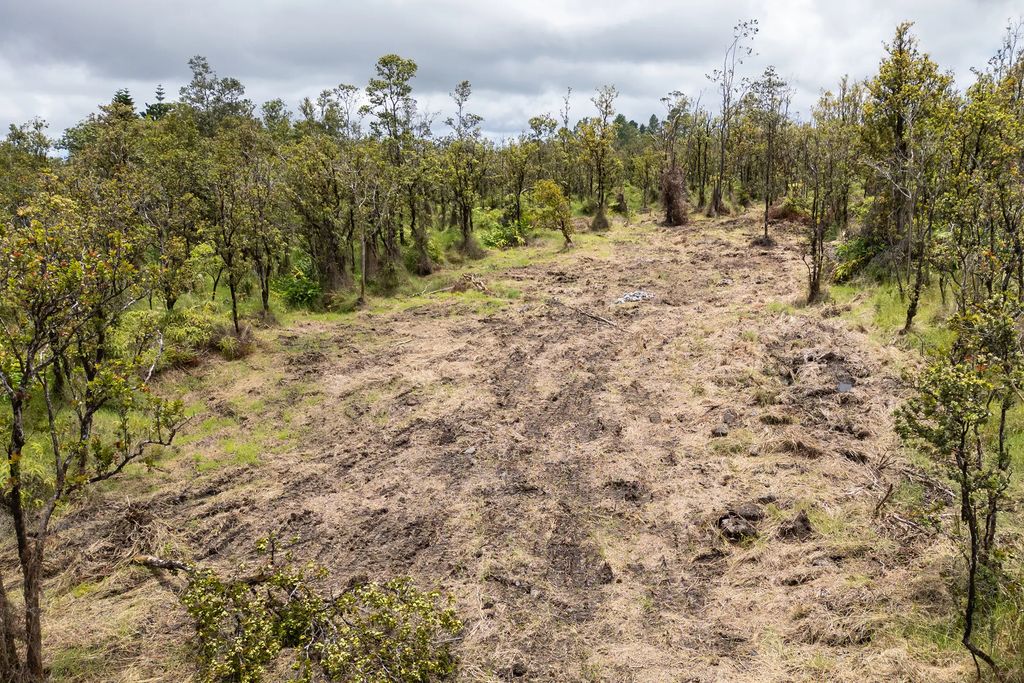 Omeka Rd, Volcano