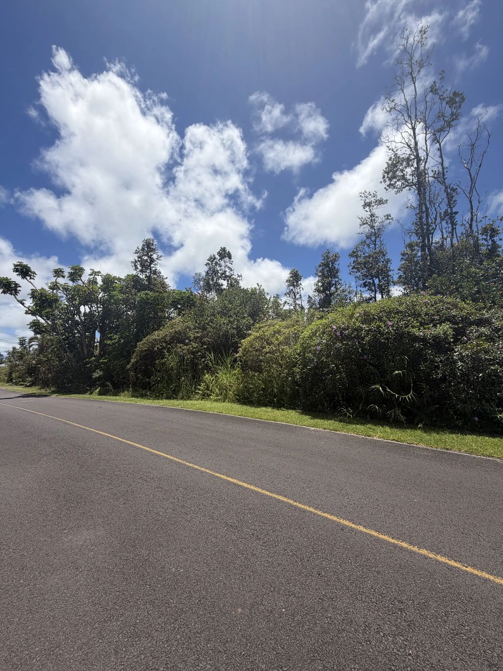 16-2110 Silversword Dr, Pahoa