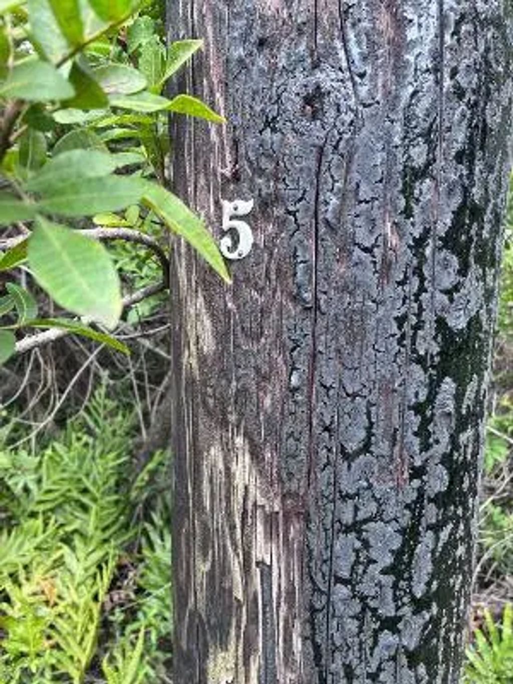 Holowai St, Naalehu