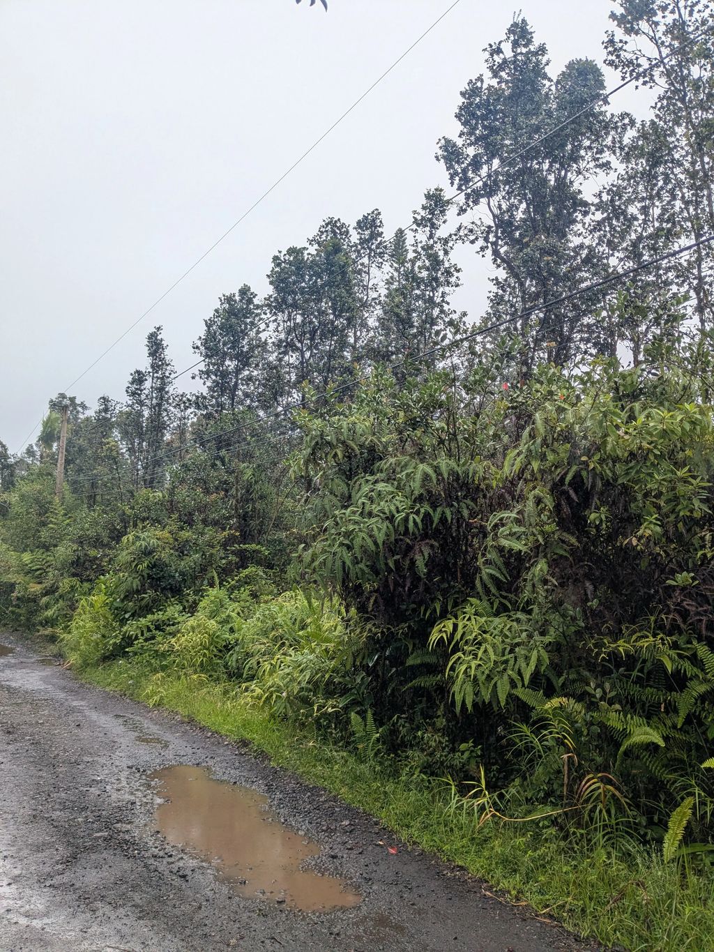 Road 3 (hopue), Mountain View