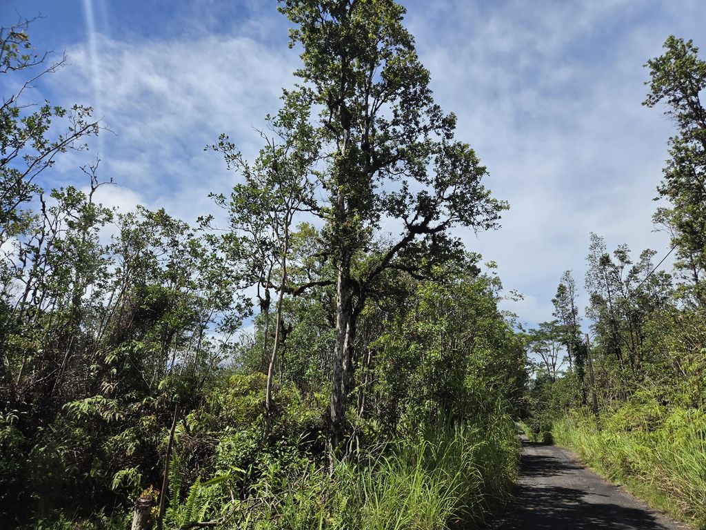 Road 3 (hopue), Kurtistown