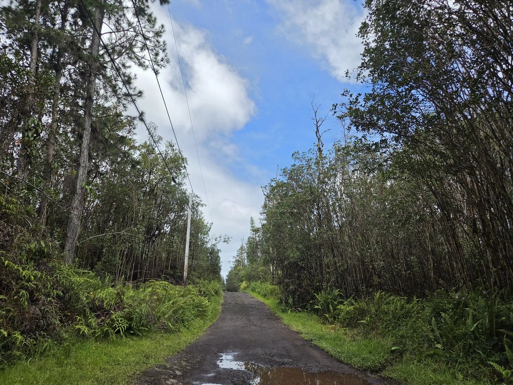 Road 5 (uau), Kurtistown
