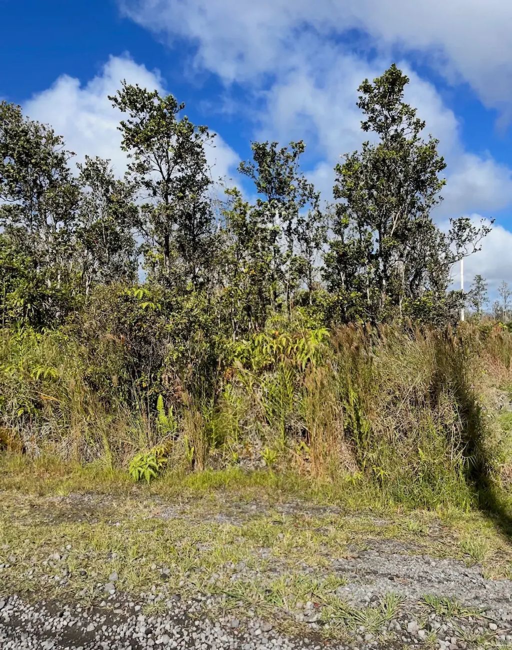 11-2698 Kaleponi Dr, Volcano