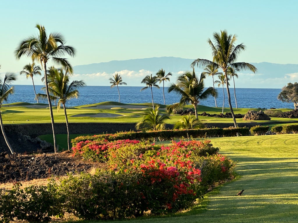 68-1050 Mauna Lani Point E103, Kamuela