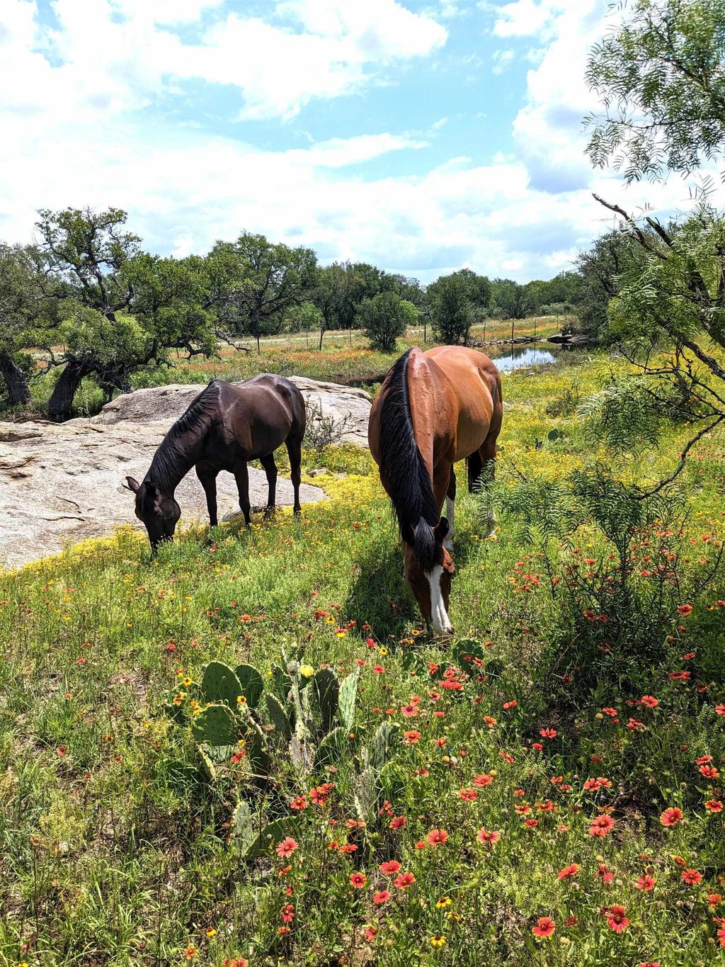 4900 W Highway 71, Llano
