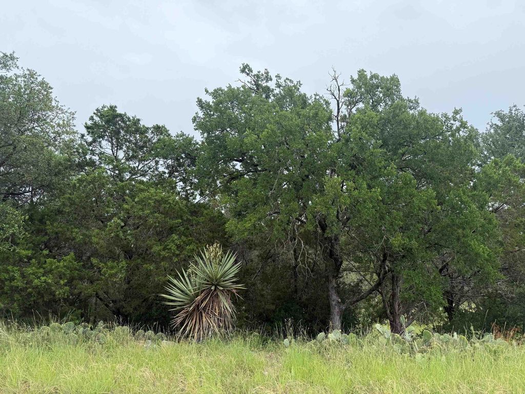 Lt 27122 Hi Mesa, Horseshoe Bay