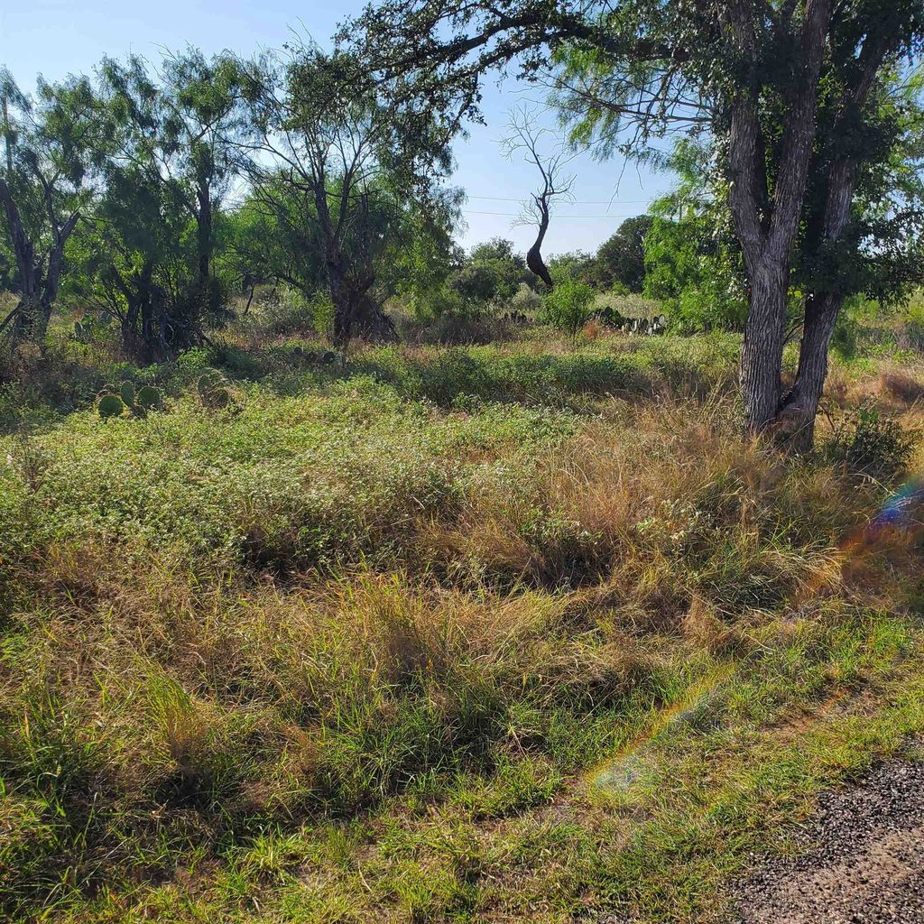 Lots 376 & 377 Woodcrest Drive, Granite Shoals