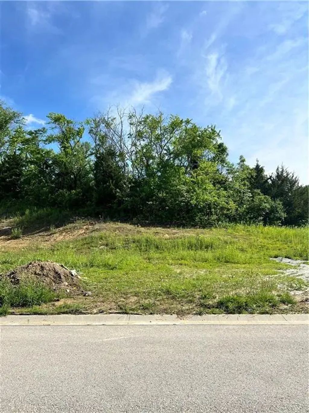 360 S Overlook Street, Olathe