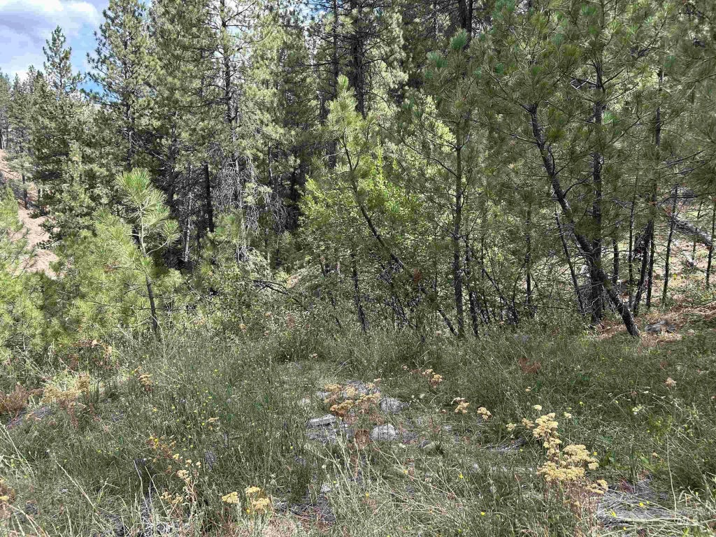 8 Klondike Road, Boise