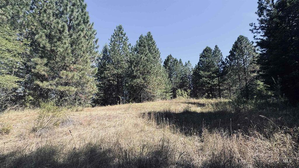 Tbd Dalton Acres Rd, Clearwater