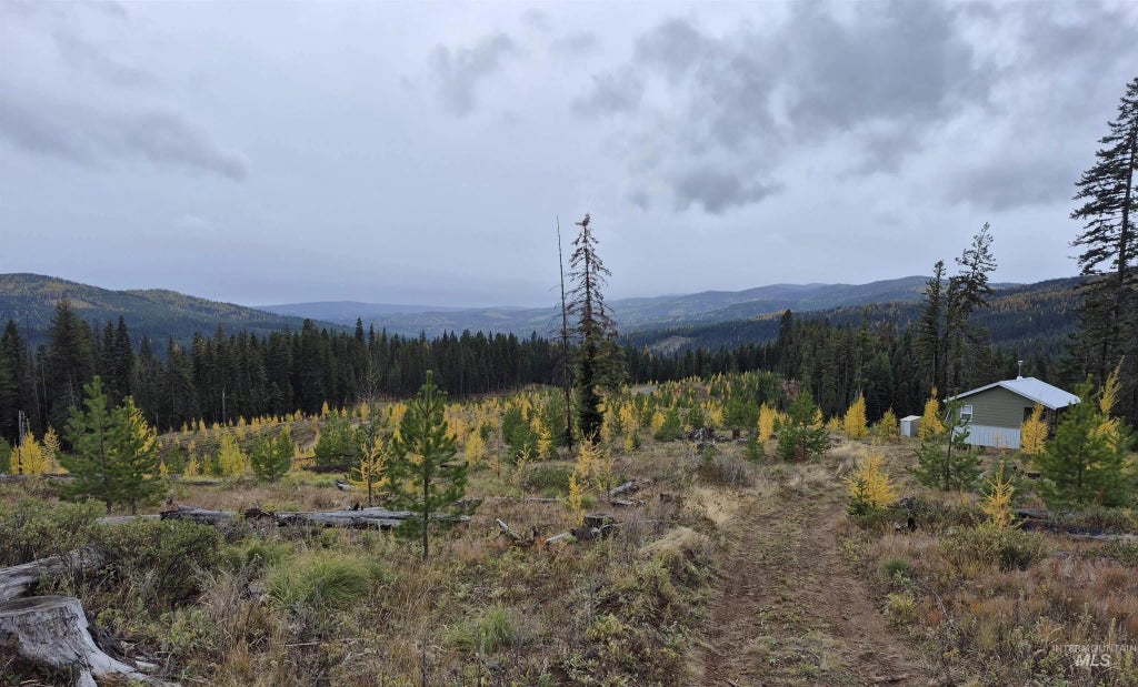 Tbd French Gulch Rd Parcel #2, Elk City