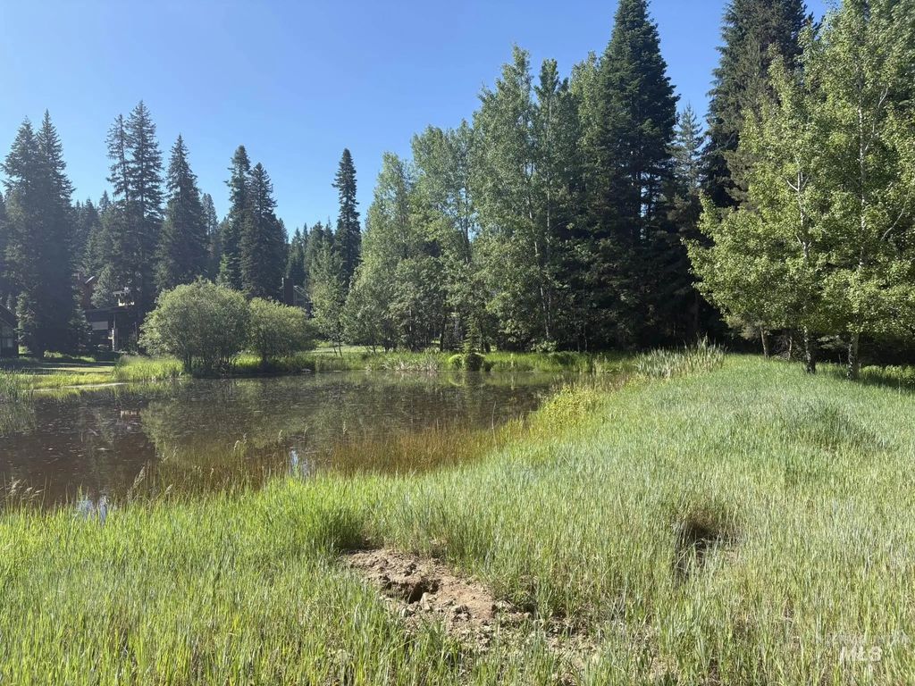 Imls 8 1024 Penstemen Pl, McCall Property Listing: MLS® #99004166