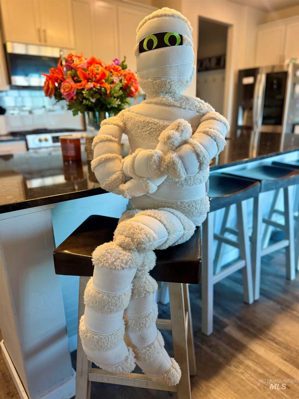 15828 N Freestone Way, Nampa