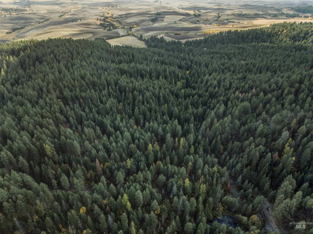 Tbd Foothill Rd, Moscow