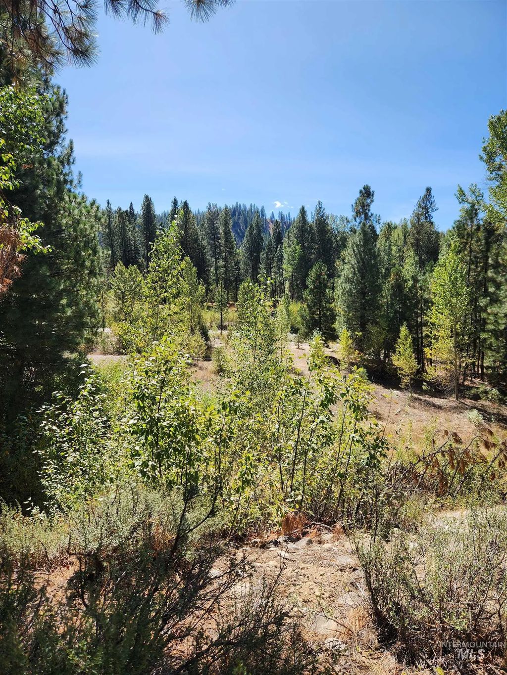 Imls 8 Tbd E River Drive, Featherville, ID 83647 MLS# 99002407 | We Know Boise