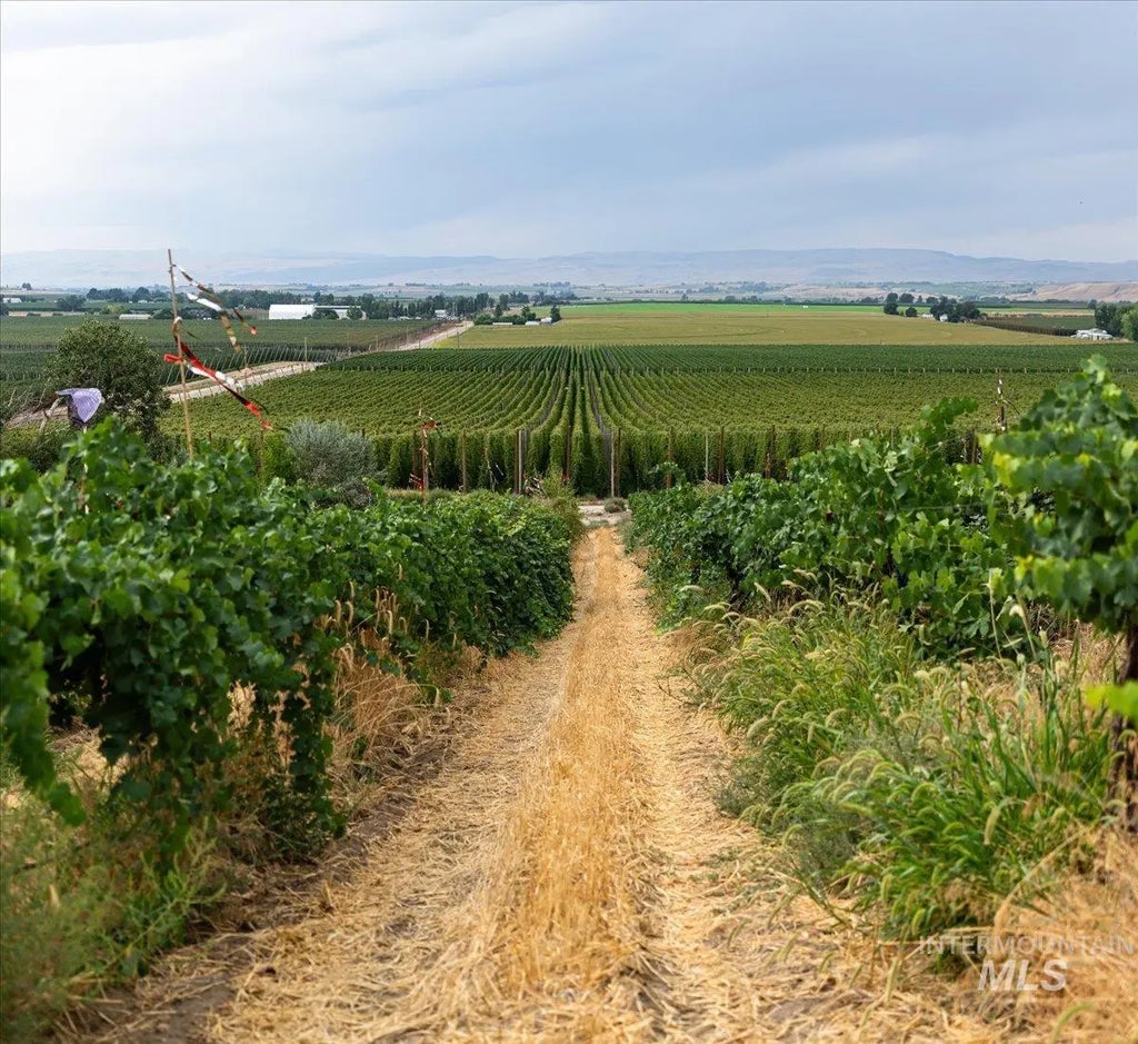 24013 Arena Valley Rd., Parma